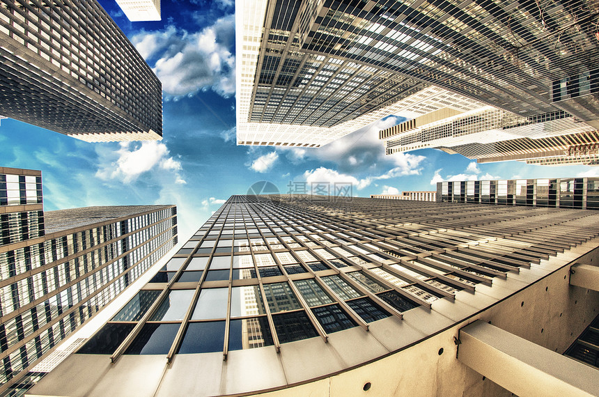 阳光下的天窗办公室金融蓝色商业场景建筑小狗玻璃摩天大楼市中心图片