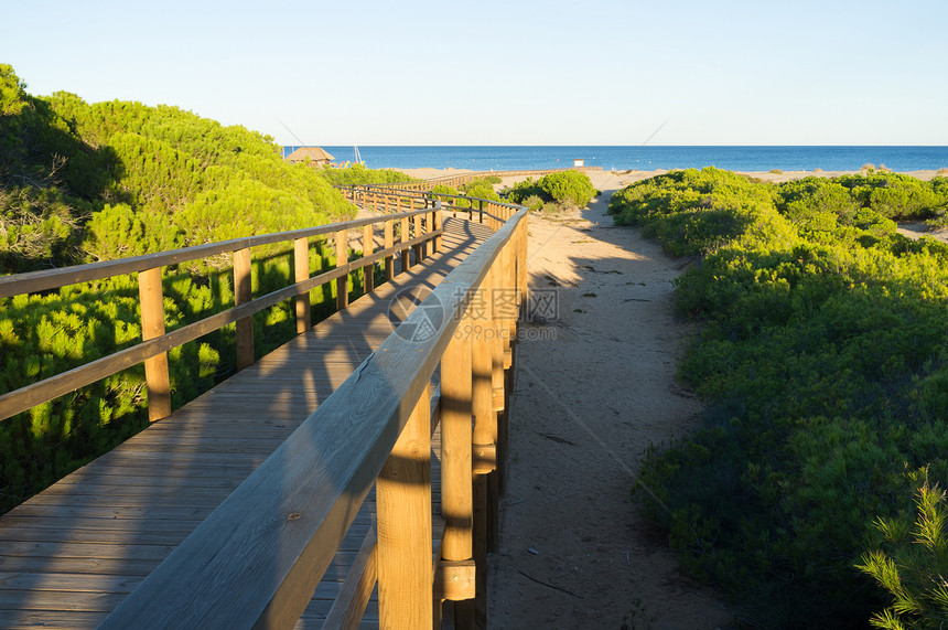卡拉巴西海滩松树行人高跷天桥水平晴天人行道沙丘阳光图片