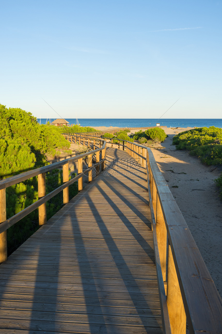 地中海海滩晴天阳光行人松树天桥海滩人行道沙丘图片