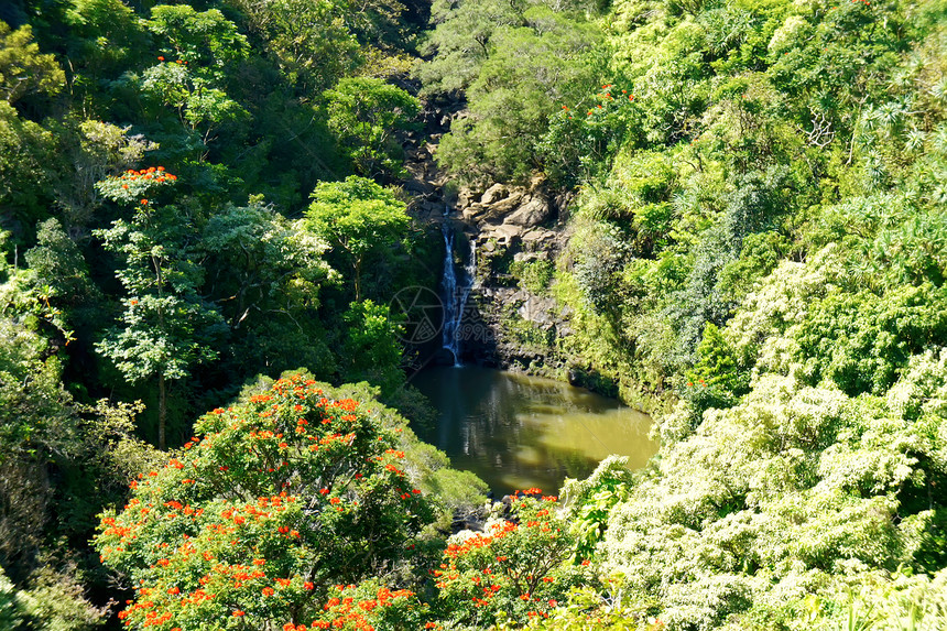 毛伊岛瀑布 带湖和支架图片