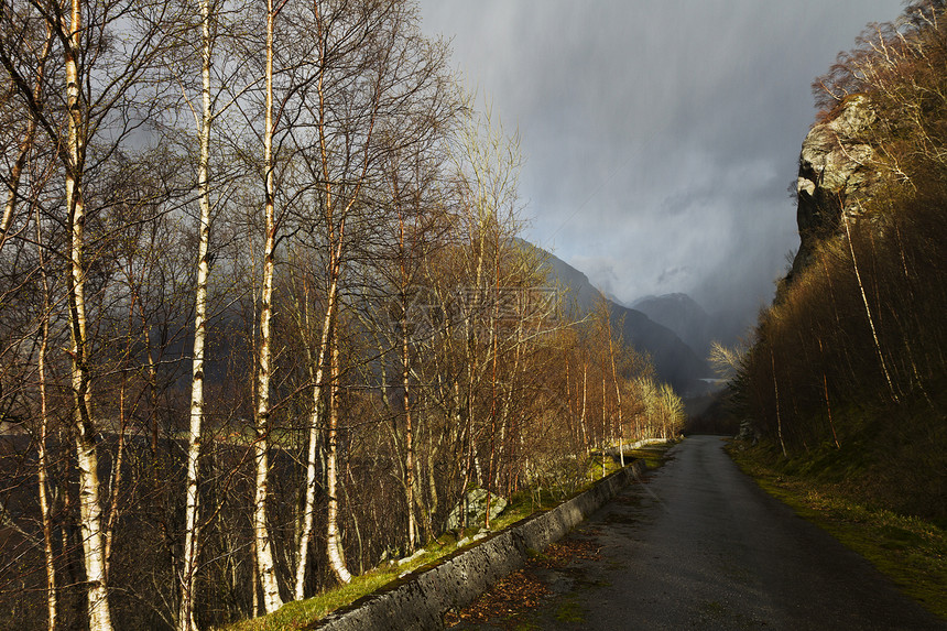 农村地貌的径长道路苔藓水平乡村森林天空风景石头桦木图片