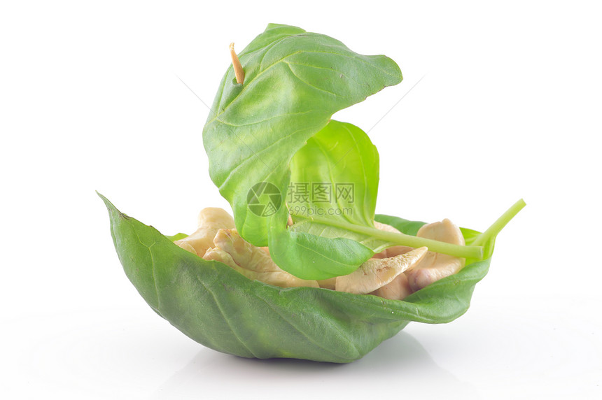 腰果在Basil叶子上小吃坚果白色食物营养健康饮食团体水果盐渍植物图片