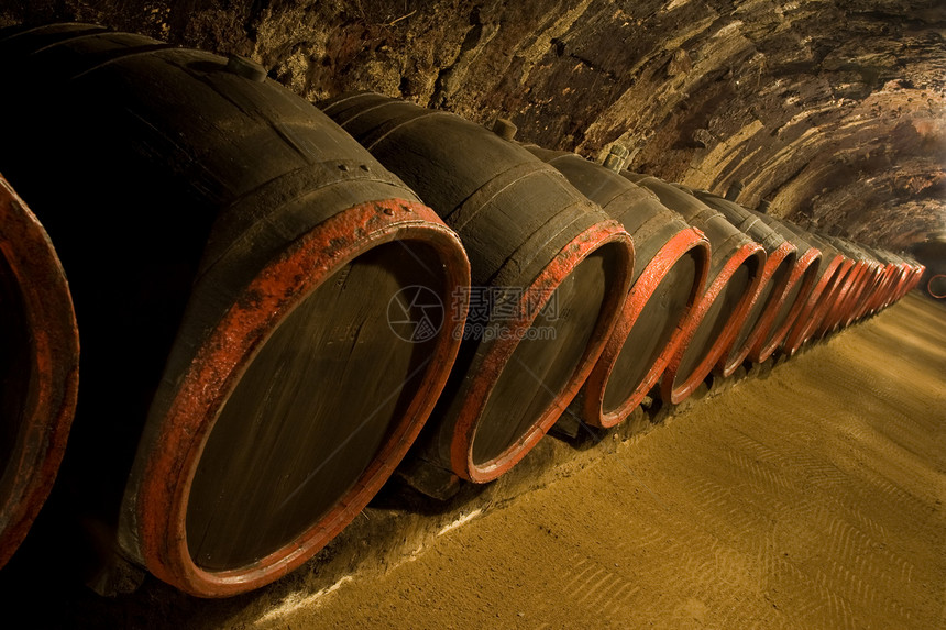 葡萄酒地窖的葡萄酒桶图片