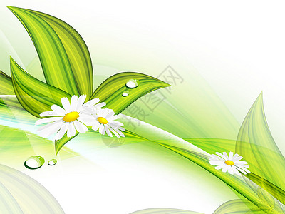 植物矢量背景 Eps10活力生态叶子波浪状框架绿色横幅生长创造力背景图片