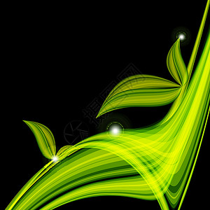 花柳矢量框架植物漩涡曲线艺术作品叶子插图背景图片
