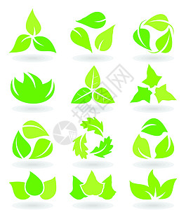 叶图标植物群插图生活生长植物环境绿色白色叶子背景图片