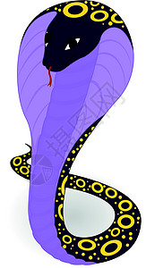 紫色眼镜蛇背景图片