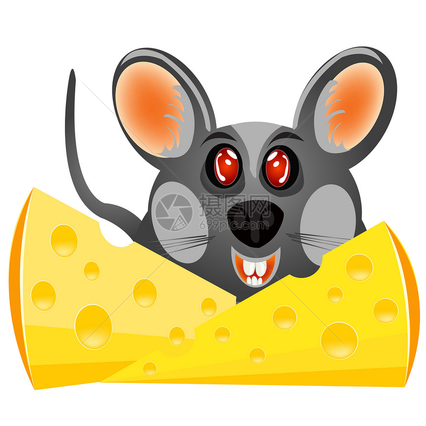 带奶酪的婴儿老鼠图片