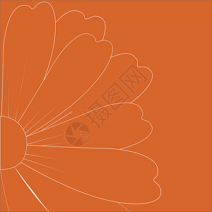 橙色花朵甘菊小路花瓣白色双色打印背景图片