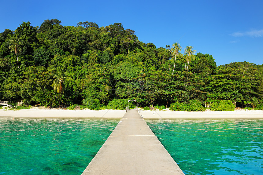 美丽的海滩码头棕榈旅行假期风景海景热带海洋海岸线蓝色图片