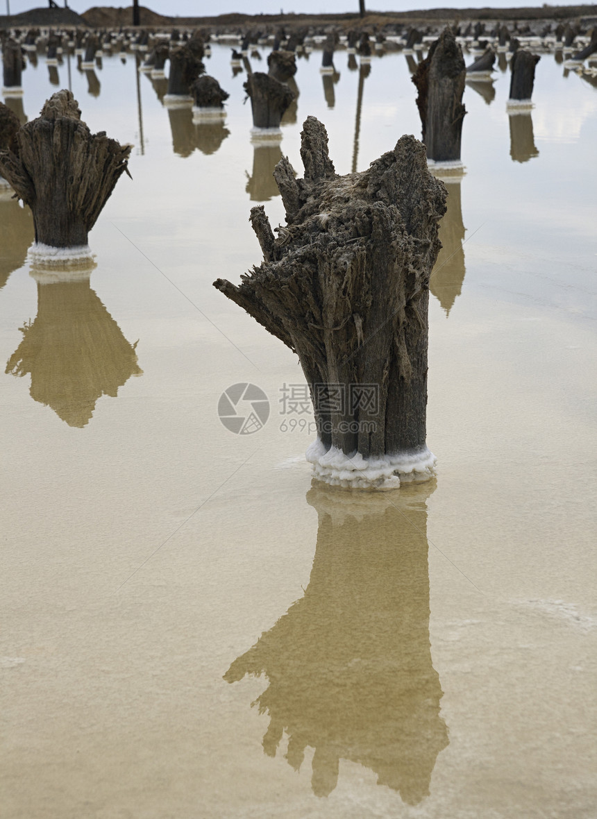 Baskunchak盐湖反射帖子沿海两极沉积物工业矿物图片