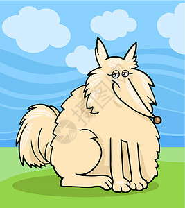 白色斯皮茨犬爱斯基摩狗漫画插图卡通片动物白色吉祥物犬类公园绘画快乐小狗鼻子插画