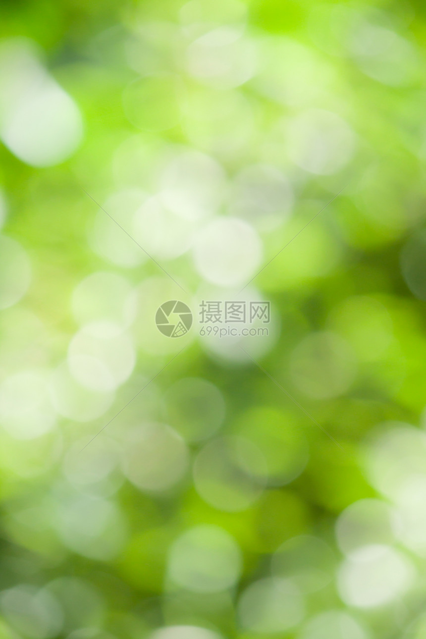 绿布OKh墙纸生态光束背景蓝色气泡太阳绿色叶子晴天图片