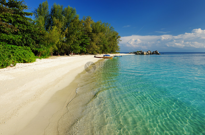 美丽的海滩蓝色天空海洋风景棕榈海岸线假期海景热带旅行图片