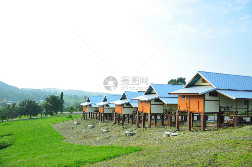 王南高绿色农业场地稻田食物粮食乡村农场背景图片