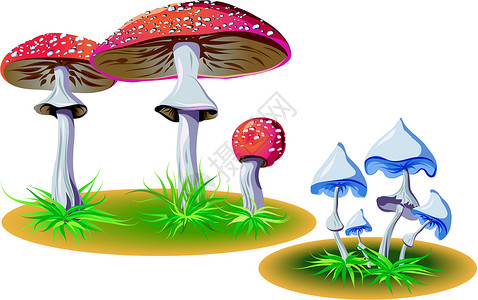 含有草的有毒毒蘑菇背景图片
