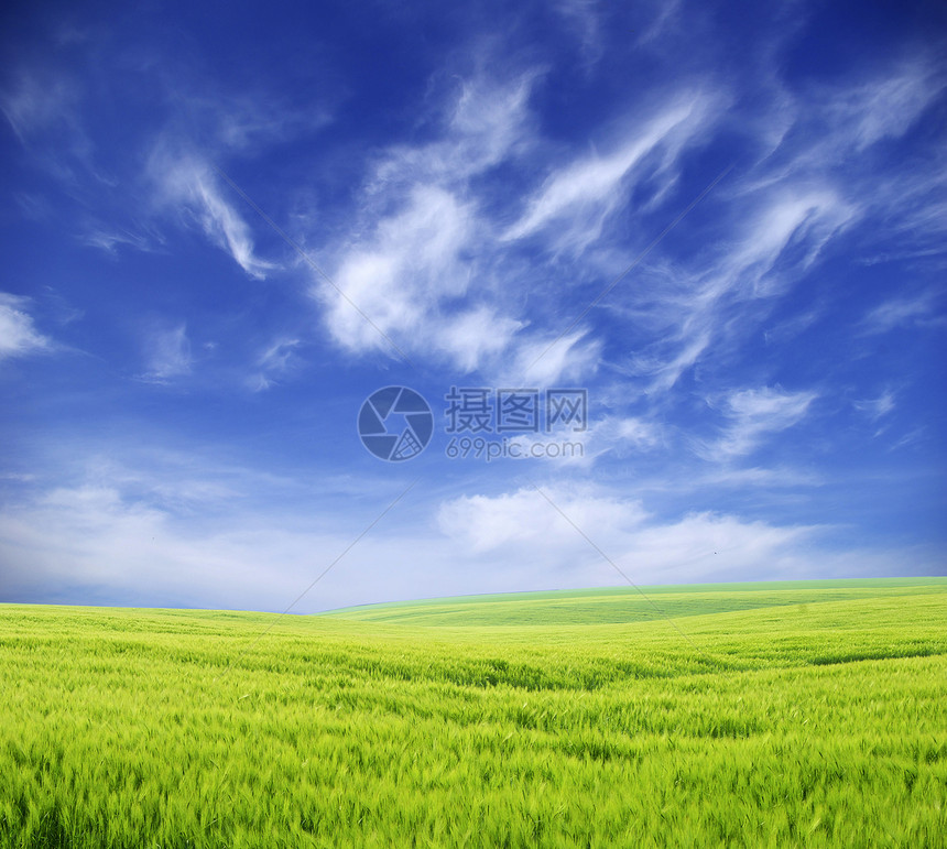 字段远景场地牧场植物农场绿色地平线天空草地全景图片