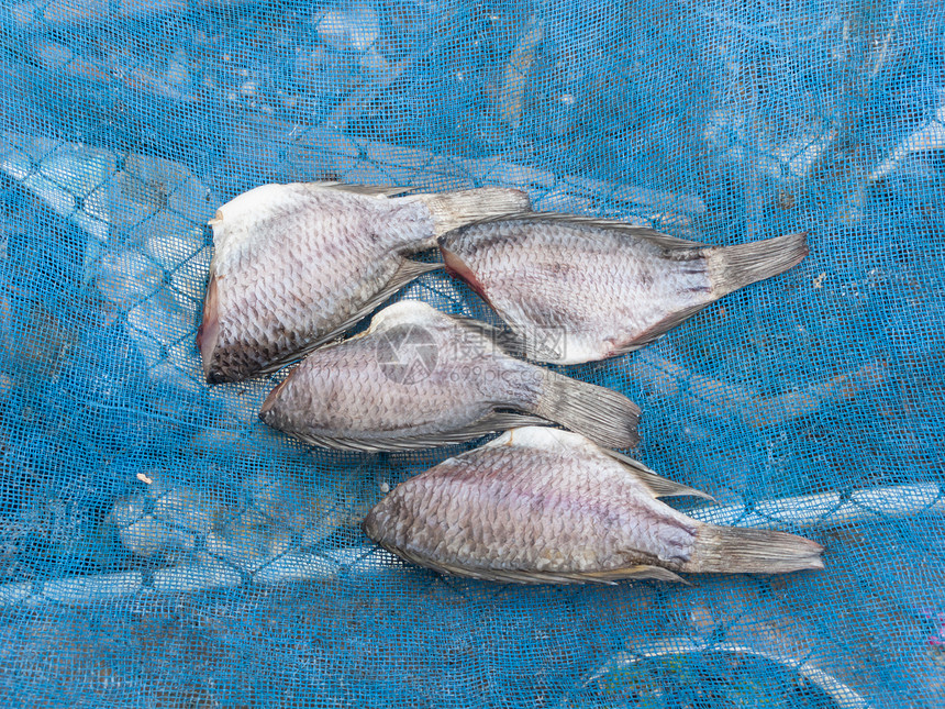 干盐鱼熏制市场渔业烹饪饮食营养美食死亡加工食物图片