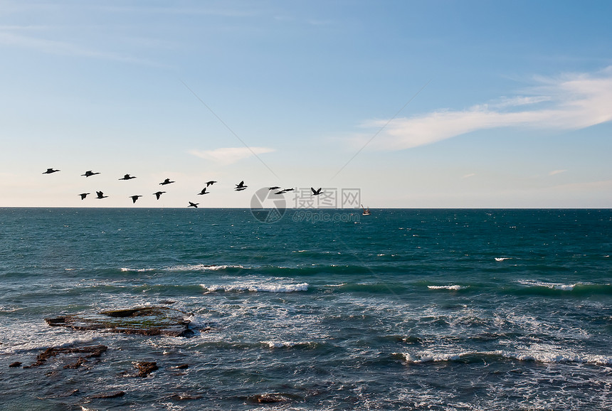 海洋和移栖鸟类帆船场景鸭子珊瑚土地天空地平线阳光波浪钓鱼图片