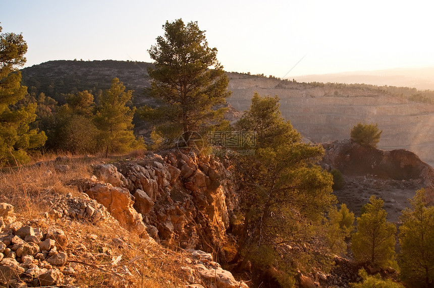 以色列的自然性质生态场地树木荒野环境灌木天蓝色蓝色爬坡教养图片