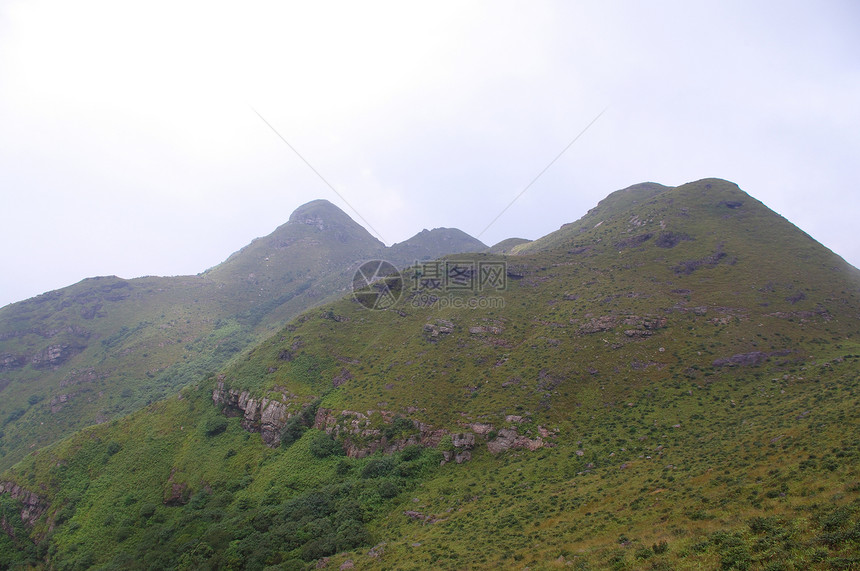 高山 中国有许多树图片