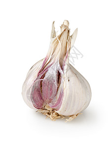 白色上孤立的大蒜植物蔬菜美食家健康饮食背景图片