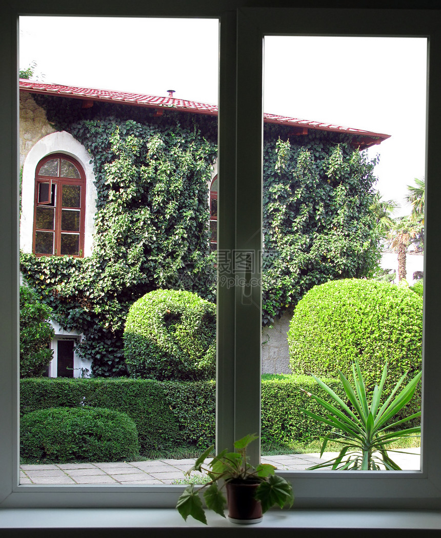 窗户建筑花园绿色区系衬套房子植物花坛大厦灌木丛图片