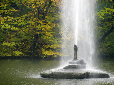 公园里的喷泉风景树木池塘棕色叶子黄色背景图片