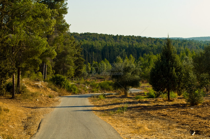 以色列的自然性质天空绿色教养爬坡衬套灌木农村场地环境树木图片