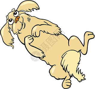 快乐的飞毛狗卡通画插图快乐漫画吉祥物绘画尾巴犬类褐色宠物卡通片鼻子背景图片