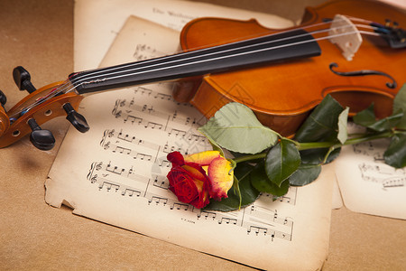 少儿小提琴美丽的玫瑰和小提琴黑色木头音乐乐器艺术中提琴笔记白色细绳礼物背景