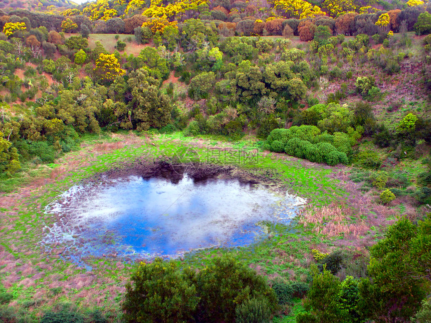 塔塔山州野生动物保护区绿地公园环境场景国家水池栖息地植物陨石荒野图片