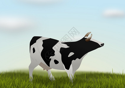 牛田中的牛卡通片动物牛角家畜场地牛肉奶牛哺乳动物奶制品农家院背景图片