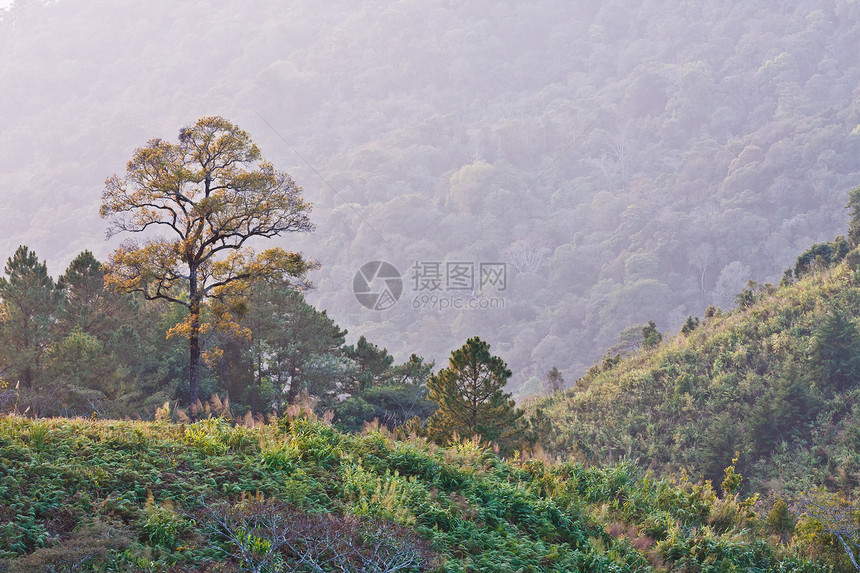 山上视图点植物森林山顶天空旅游假期岩石旅行远足阳光图片