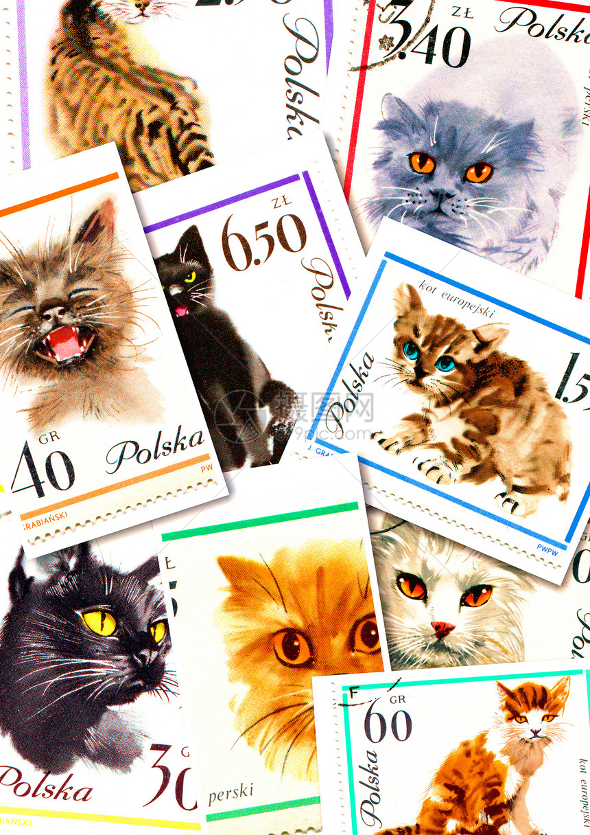 猫的拼贴爱好邮戳胡须绘画傀儡小猫邮资动物哺乳动物眼睛图片