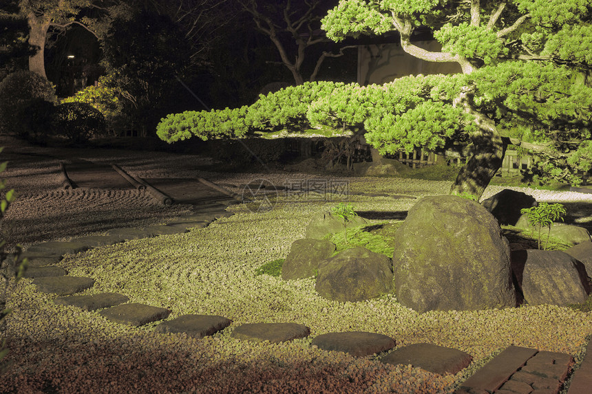 夜间在zen花园的乐园里松树冥想花园绿色石头乡村城市文化海浪风景图片