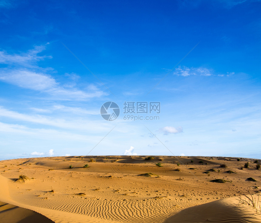 沙漠景观海滩谷物日落干旱荒野土地涟漪太阳蓝色阳光图片