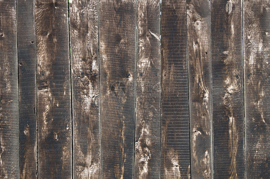 树木背景背景木工木头木材硬木装饰桌子控制板风格材料宏观图片