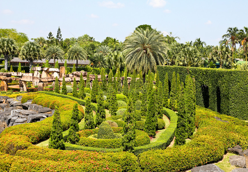 热带花园在泰国的帕塔亚奢华棕榈植物热带蓝色露台院子旅游旅行绿色图片