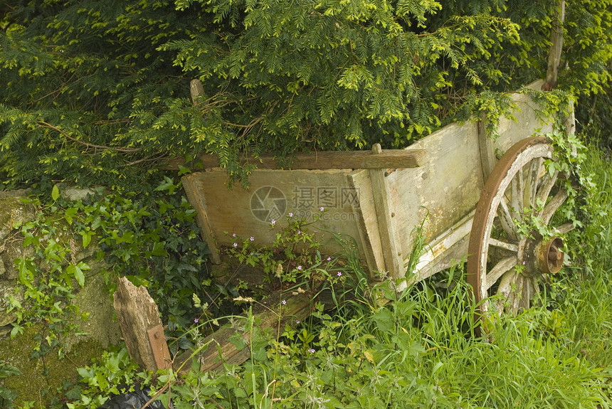 旧木木车图片