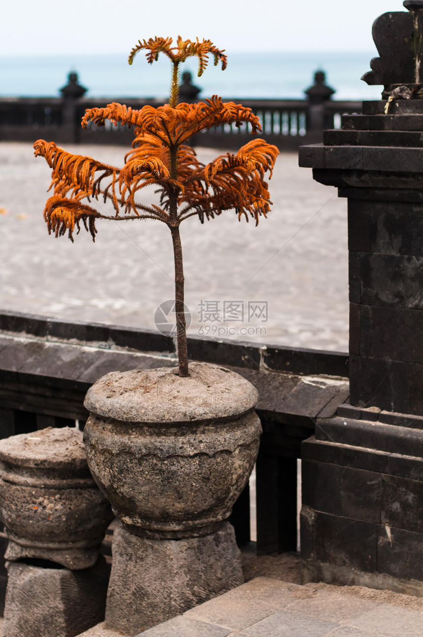 Pura Tanah 彩票海滩悬崖假期海浪旅游历史海洋热带旅行建筑图片