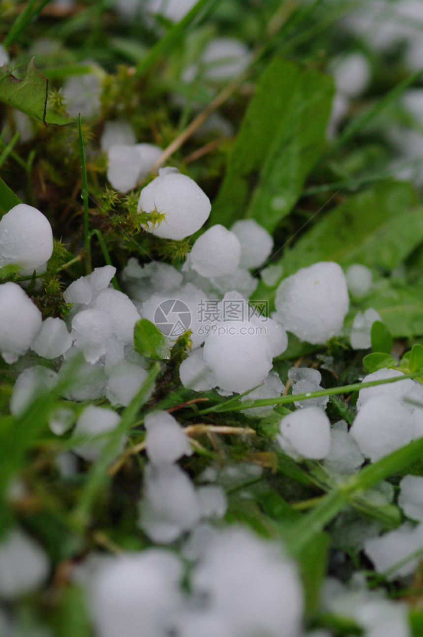 圆冰球水晶天气风暴暴雨气候立方体草地叶子沉淀溪流图片