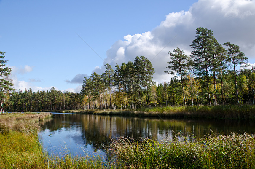 森林湖叶子木头反射晴天镜子蓝色风景天空森林美丽图片