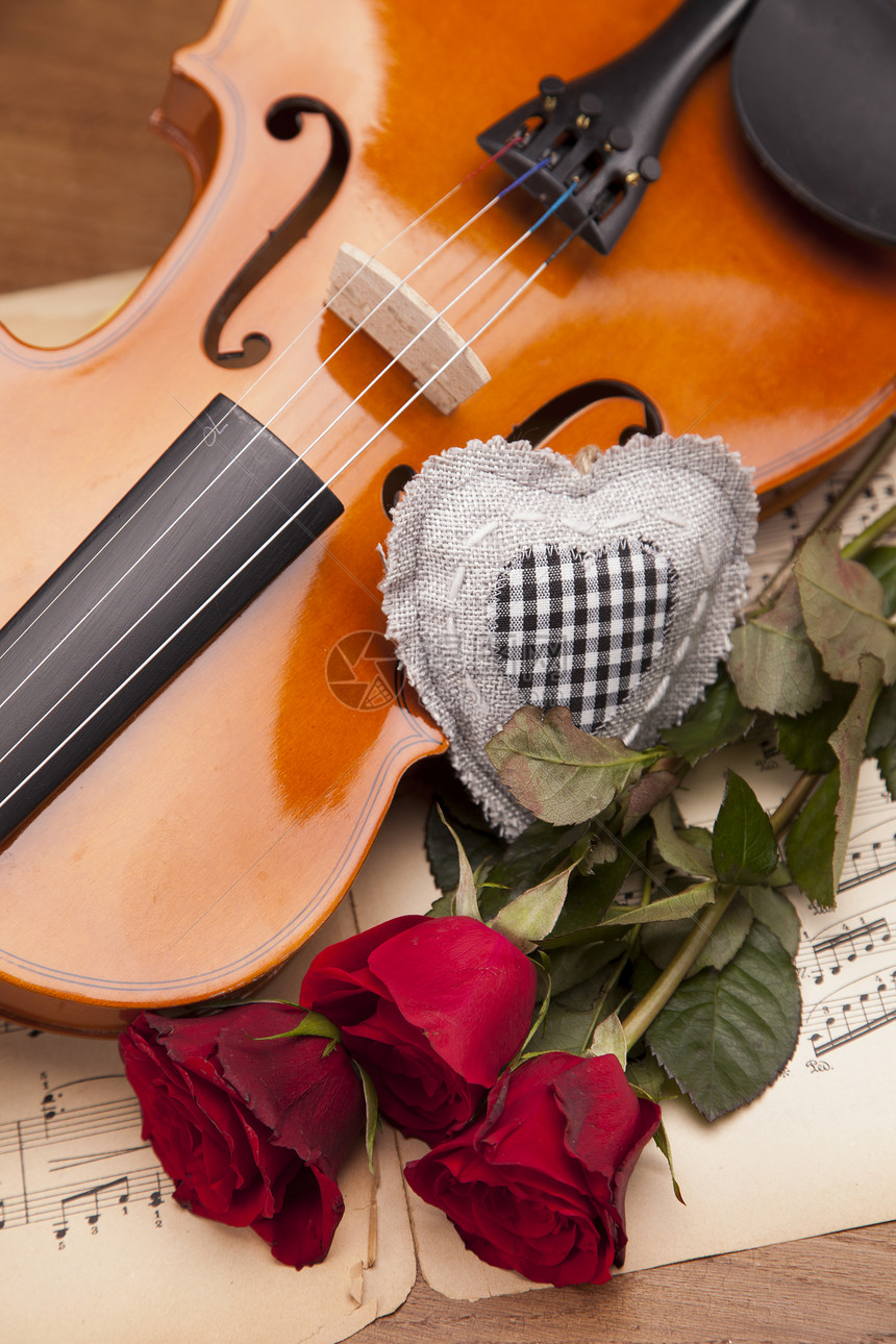 美丽的玫瑰和小提琴红色黑色细绳棕色笔记礼物床单中提琴音乐白色图片
