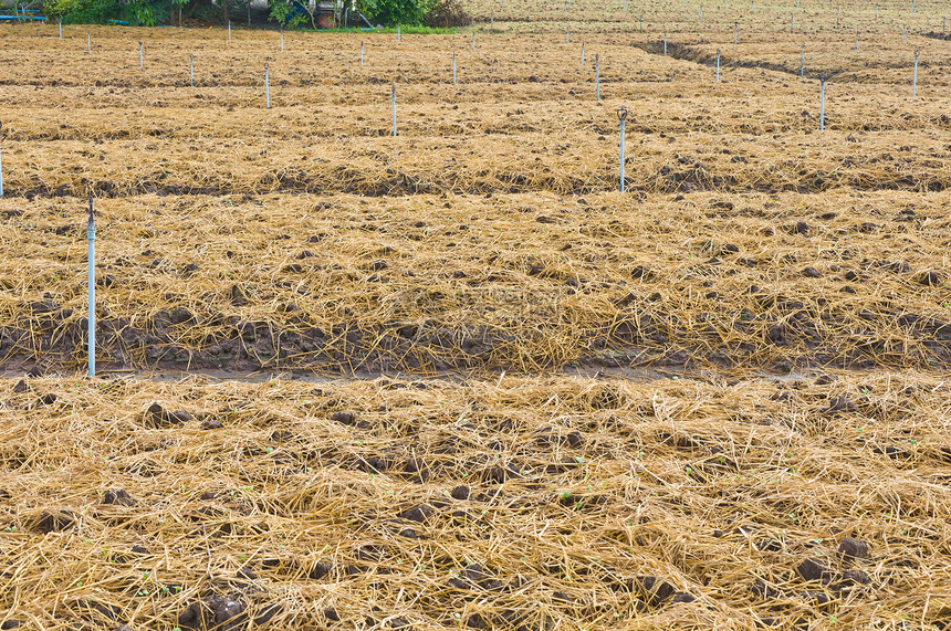 用于种植蔬菜的土壤准备土地稻草农田环境黏土农民灌溉文化地面培育生长图片