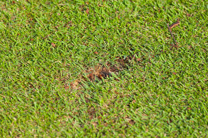 高尔夫球场新码头失败地面草皮球道高尔夫球绿色图片