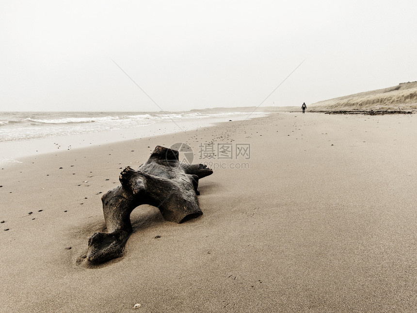 沙滩上漂流木头女性旅行漂移海岸女士天空浮木海滩季节女孩图片