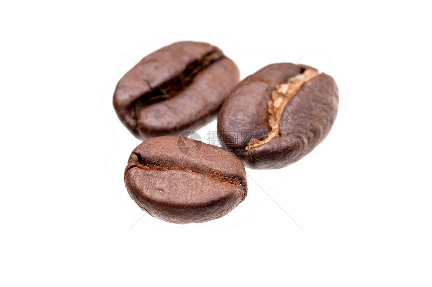 咖啡豆咖啡作物水平宏观棕色图片
