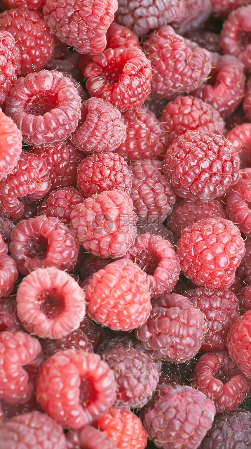 兰草莓宏观白色水果团体食物覆盆子红色图片