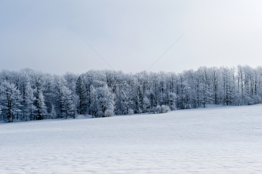 冬季风景季节孤独白色场景森林天空水平图片
